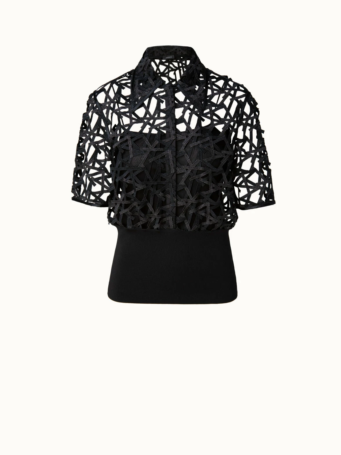 AKRIS Cropped Embroidered Semi-Sheer Blouse 1 AKRIS Cropped Embroidered Semi-Sheer Blouse